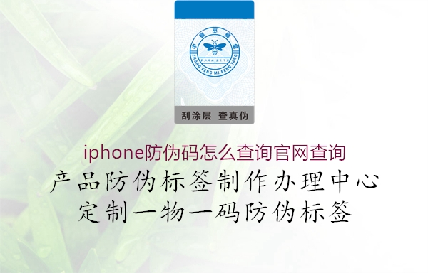 iphone防偽碼怎么查詢(xún)官網(wǎng)查詢(xún)2.jpg