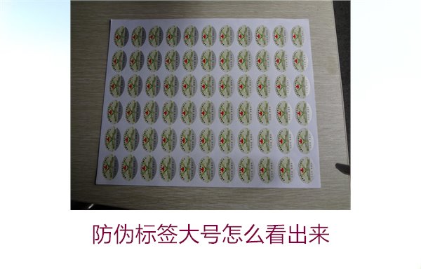 防偽標簽大號怎么看出來2.jpg