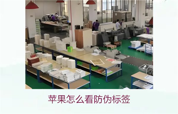 蘋果怎么看防偽標(biāo)簽1.jpg