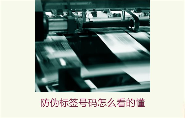 防偽標(biāo)簽號碼怎么看的懂？詳細(xì)解析防偽標(biāo)簽號碼的識別方法與技巧(圖1)