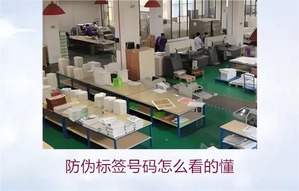 防偽標(biāo)簽號碼怎么看的懂？詳細(xì)解析防偽標(biāo)簽號碼的識別方法與技巧(圖2)
