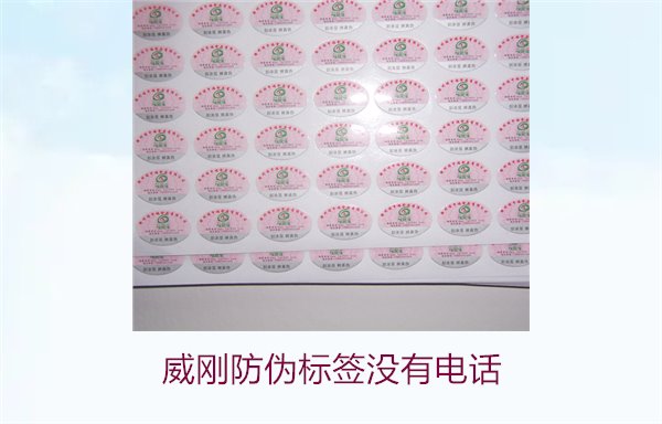 威剛防偽標(biāo)簽沒(méi)有電話，如何通過(guò)其他方式驗(yàn)證威剛防偽標(biāo)簽的真?zhèn)?圖3)